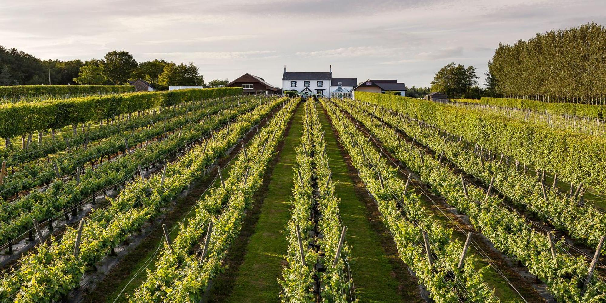 Llanerch Vineyard Hotel Hensol Extérieur photo