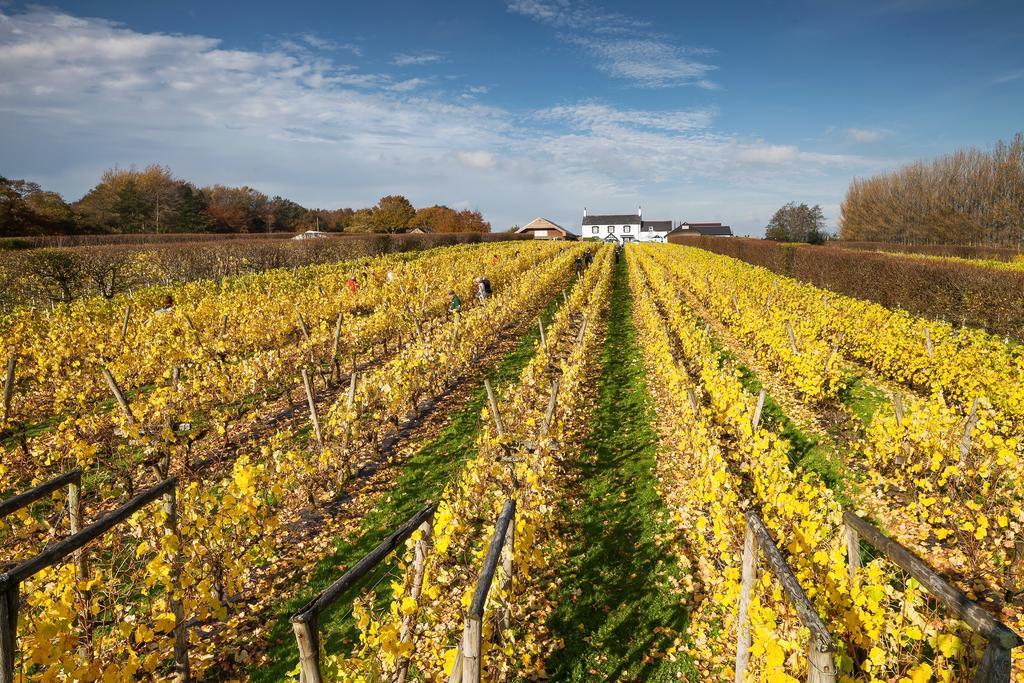 Llanerch Vineyard Hotel Hensol Extérieur photo